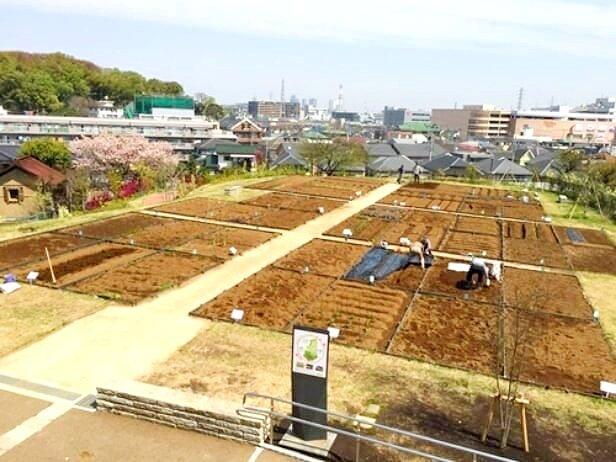 ザ・ハウス港北綱島-54-公園