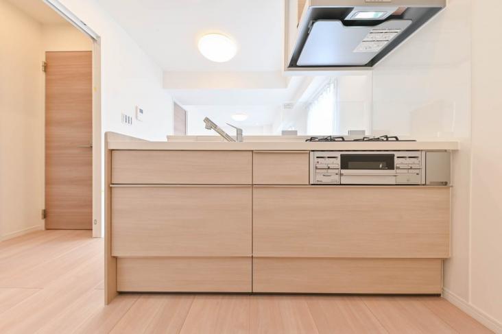 星川シュロス-5-キッチン