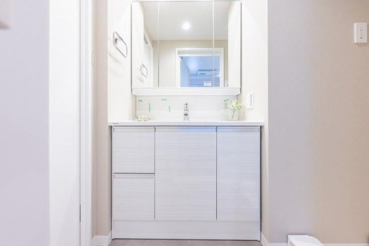 エルズ横濱-12-洗面