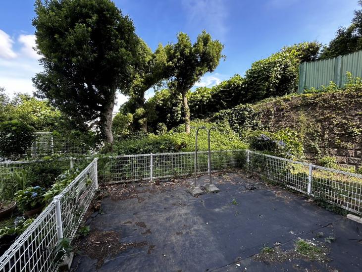 アンバサダー横浜松見町-16-庭