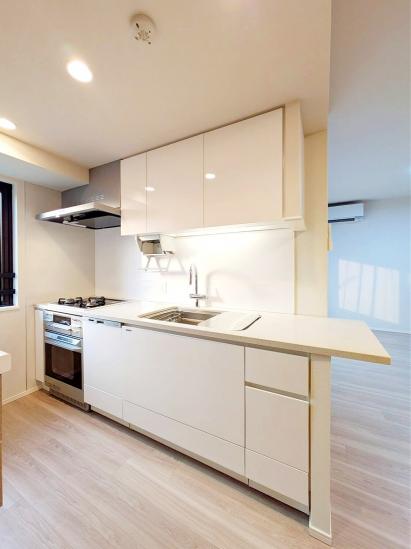 プレミスト横濱反町-19-キッチン