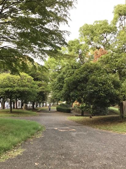 プレミスト横濱反町-69-公園