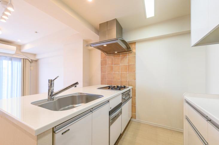 エルズ ヴュープレイス-3-その他