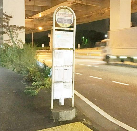 コスモ横浜本牧シーサイドテラス-55-その他