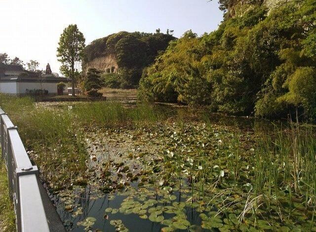 コスモ横浜本牧シーサイドテラス-60-公園