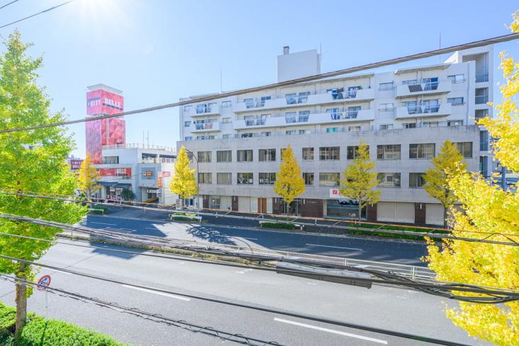 グローベル　ザ・セレナ　グランレジデンス-8-眺望