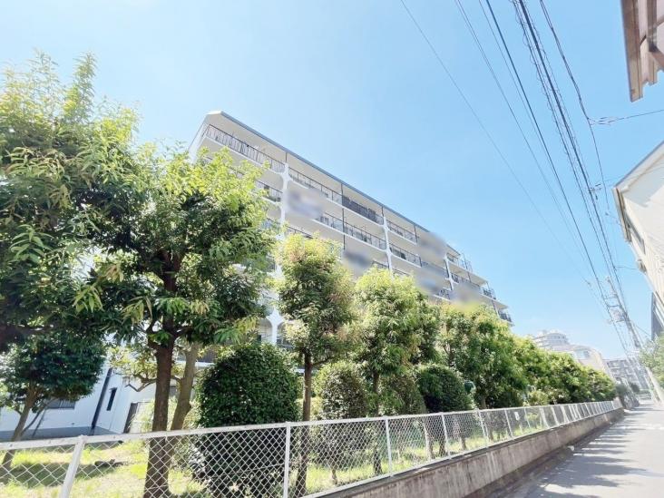 ライネスハイム綱島弐番館-12-外観