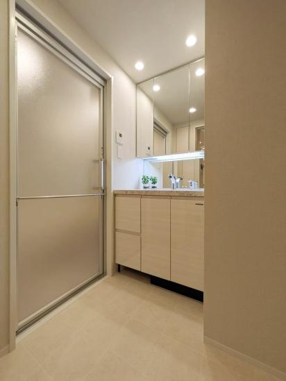 オープンレジデンシア横浜台町-17-洗面