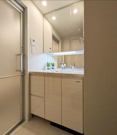 オープンレジデンシア横浜台町-18-洗面