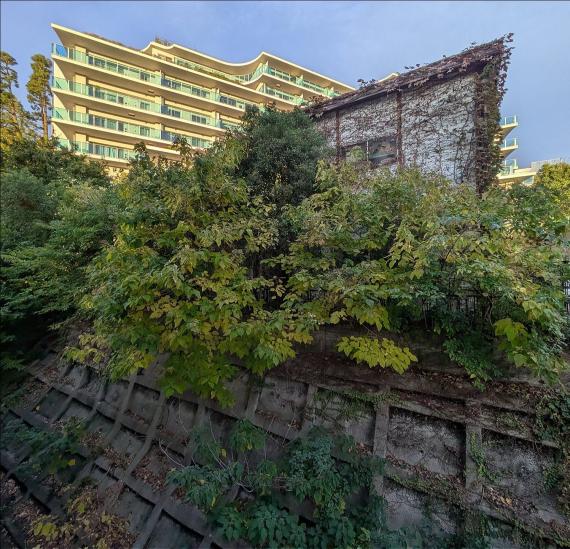 オープンレジデンシア横浜台町-29-眺望