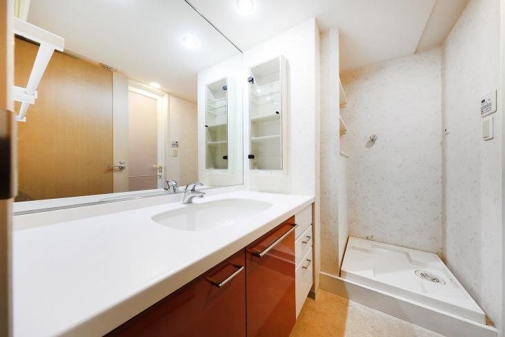 サンクタス横濱三ツ沢公園-9-洗面