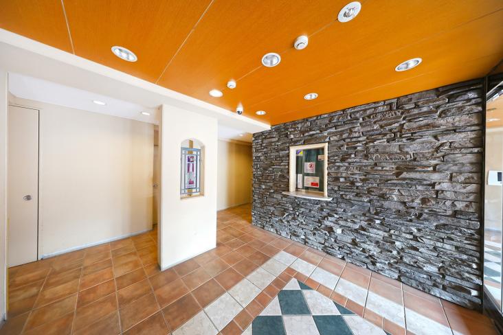 サンクタス横濱三ツ沢公園-18-エントランス