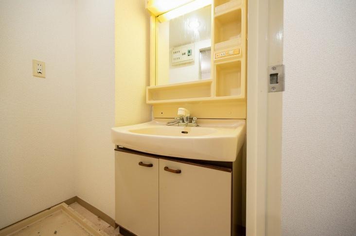 クリオ片倉町　壱番館-10-洗面