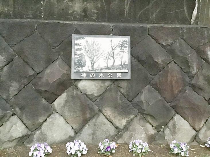 アリュール横濱新子安-61-公園