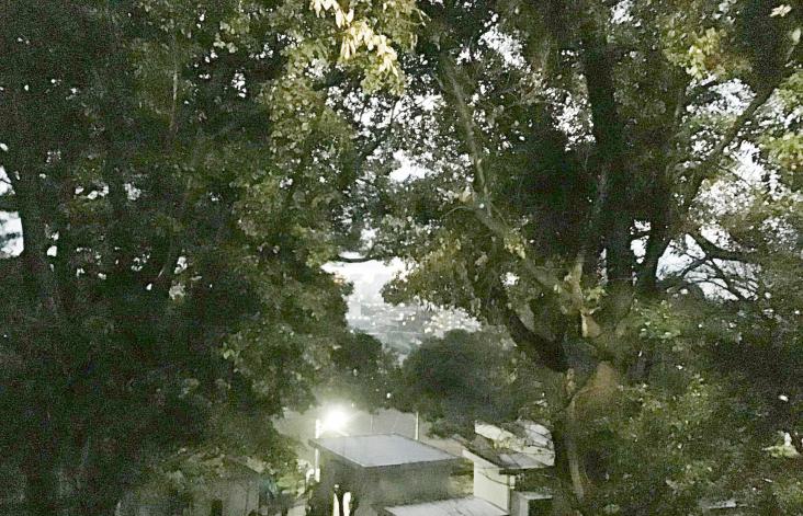 アリュール横濱新子安-62-公園