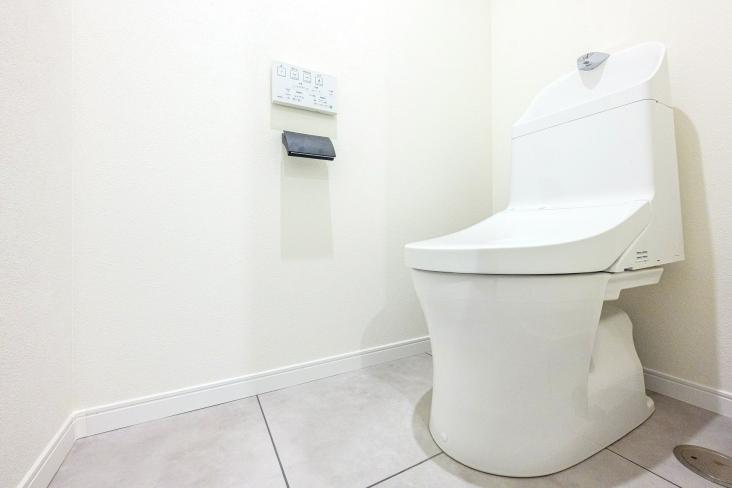 サニーハイツ-21-トイレ