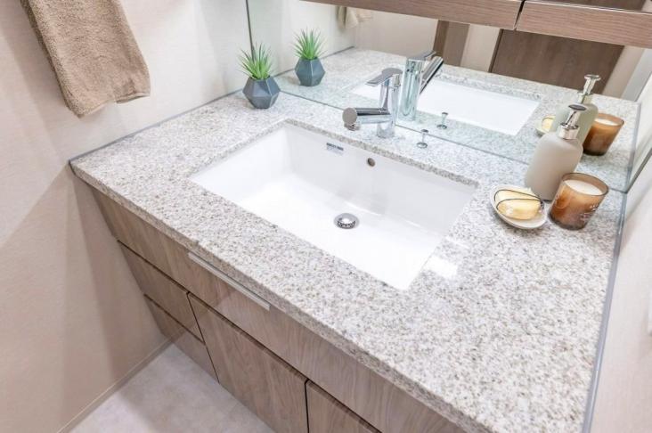 ヴェレーナシティ　パレ・ド・マジェステ-10-洗面