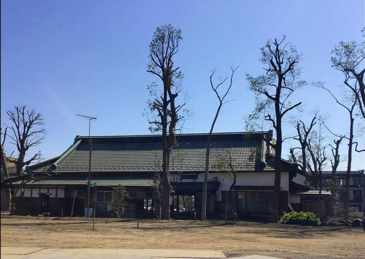 シティテラス横濱綱島　シーズンズ-50-周辺の街並み