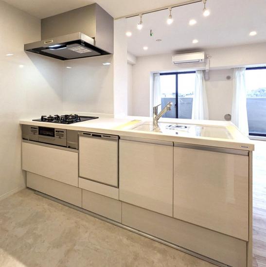 デイパーク横濱天王町-14-キッチン