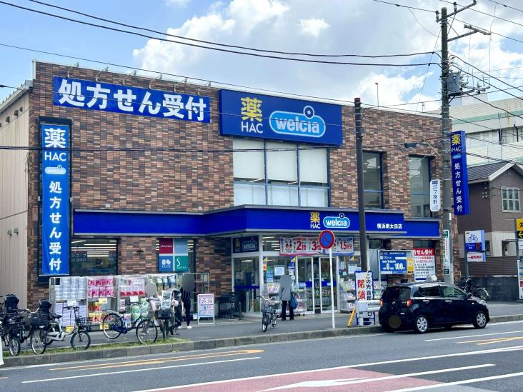 ライオンズマンション日枝町-23-ドラッグストア