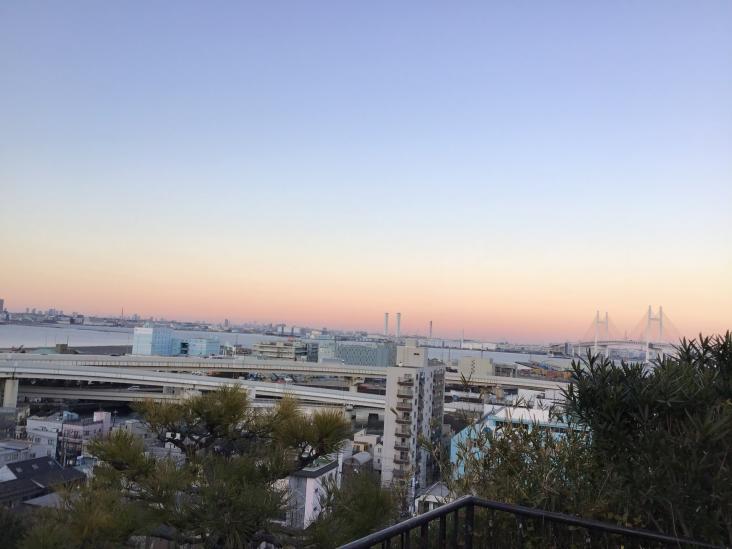 ネオコーポ山下-25-公園