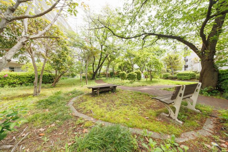 菊名ハイツ　２号館-13-共有部分