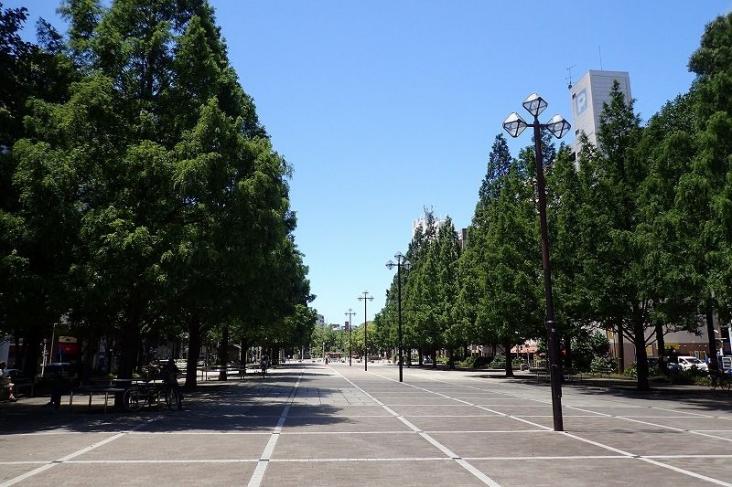 モアレ横浜富士見町-29-公園