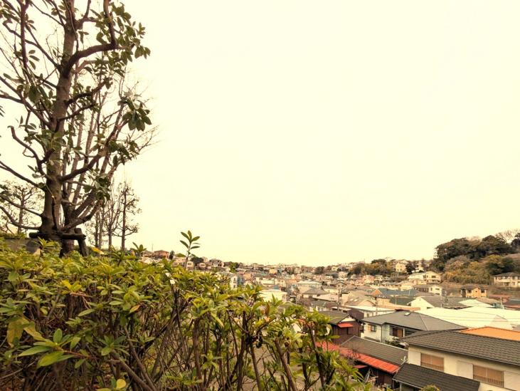 ヴェレーナシティ　パレ・ド・シエル　カルティエ２-21-眺望