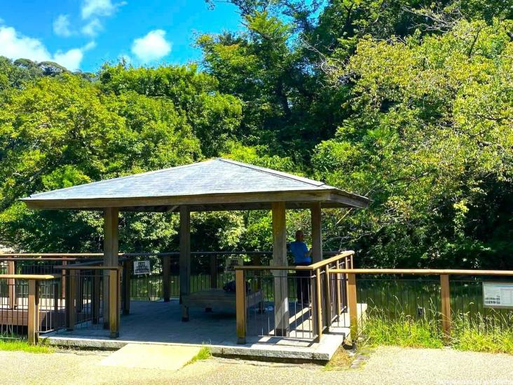 ヴェレーナシティ　パレ・ド・シエル　カルティエ２-42-公園