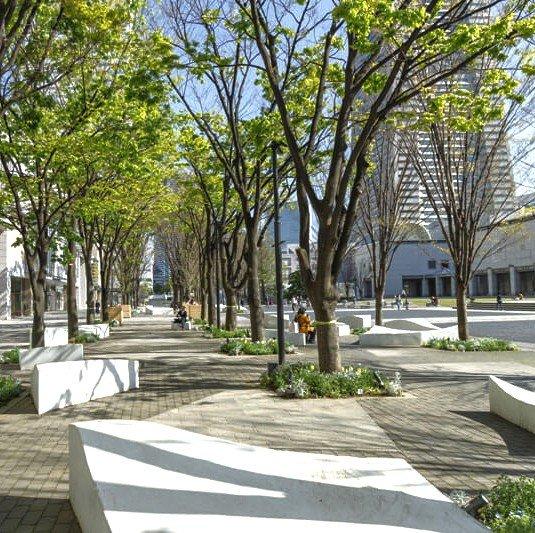 みなとみらいミッドスクエア　ザ・タワーレジデンス-48-公園