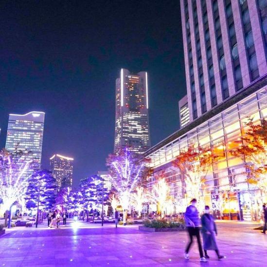 みなとみらいミッドスクエア　ザ・タワーレジデンス-49-周辺の街並み