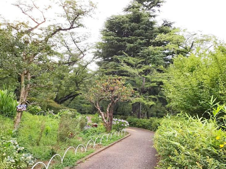 三ツ沢ハイタウン　5号棟-17-公園