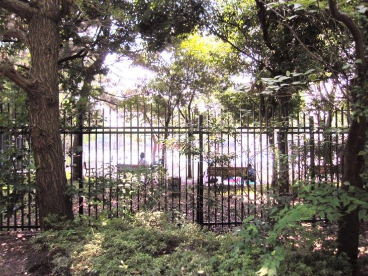 パークホームズ横濱妙蓮寺　ザ　ヒルトップ-50-公園