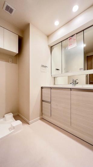 藤和シティホームズ鷺沼小台-17-洗面