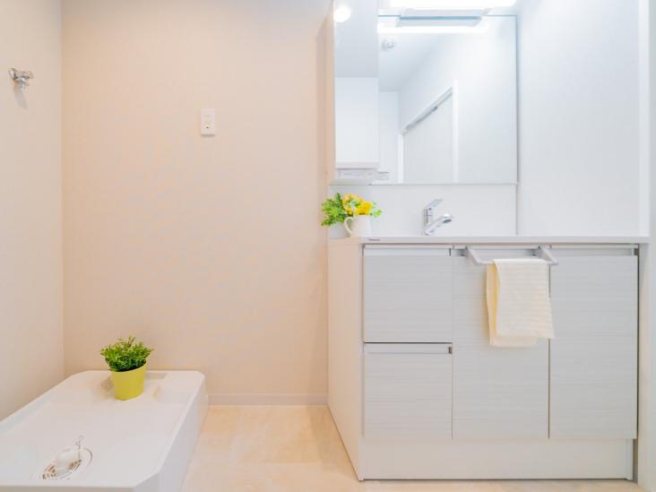 ダイアパレス武蔵小杉-5-洗面