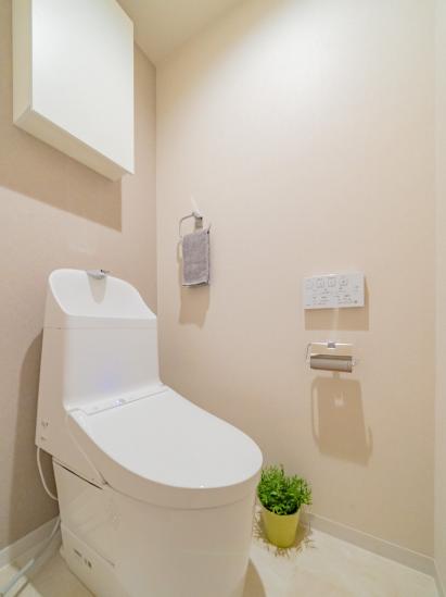 ダイアパレス武蔵小杉-10-トイレ