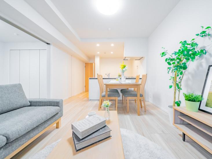 ダイアパレス武蔵小杉-12-リビング