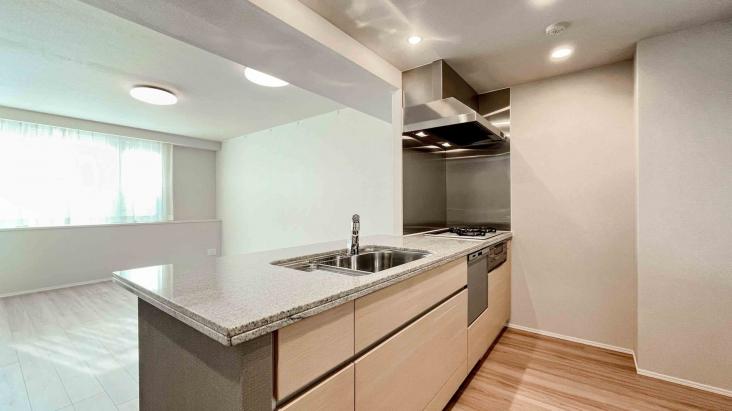 パークテラス宮前平-12-キッチン