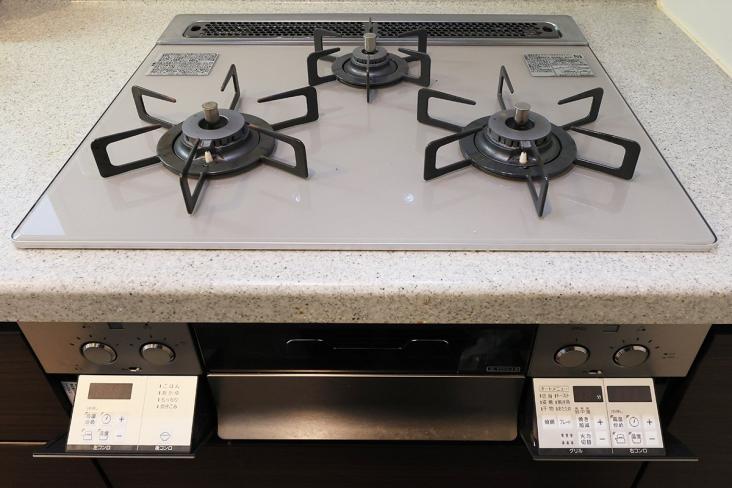 ゼファー武蔵中原レーグラーレ-16-キッチン