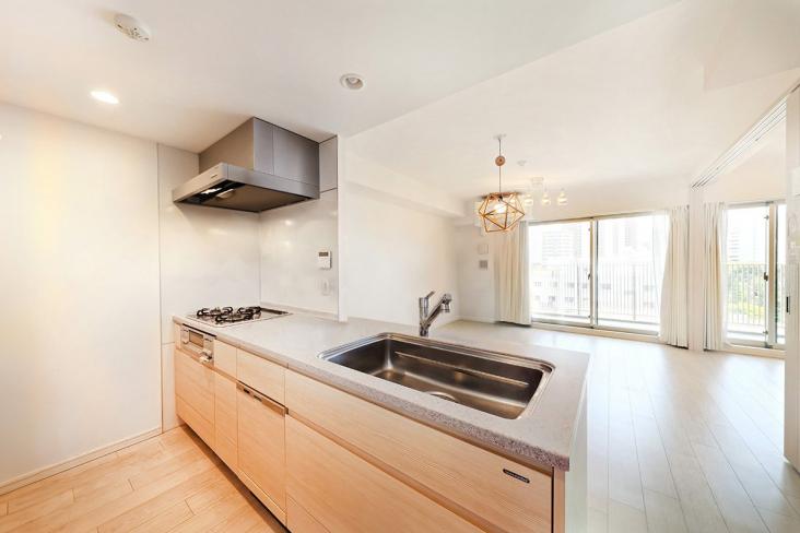 レ・ジェイド川崎-7-その他