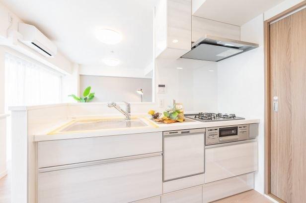 ライオンズガーデン川崎-6-キッチン