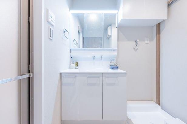 ライオンズガーデン川崎-9-洗面