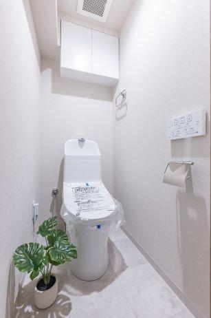 ライオンズガーデン川崎-10-トイレ