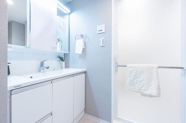 ライオンズガーデン平間四季の杜-9-洗面