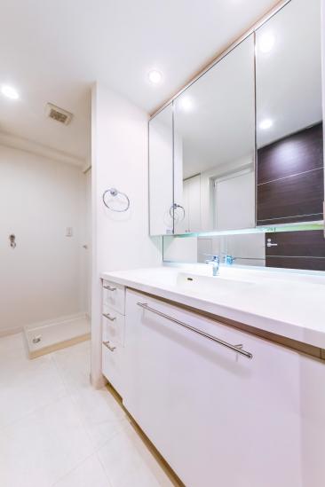 ザ・タワー＆パークス田園都市溝の口-9-その他