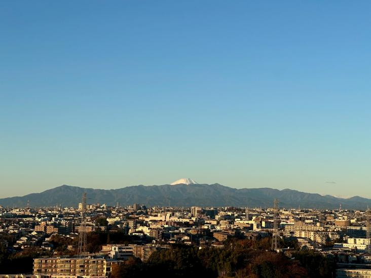 ザ・タワー＆パークス田園都市溝の口-11-眺望