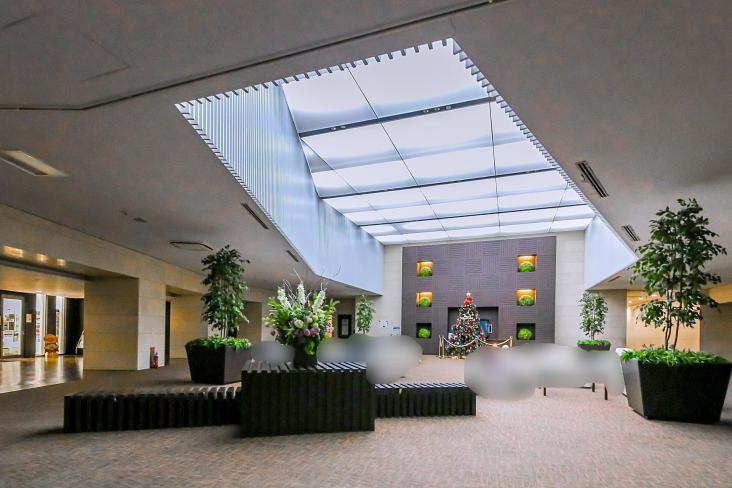 ザ・タワー＆パークス田園都市溝の口-15-ロビー