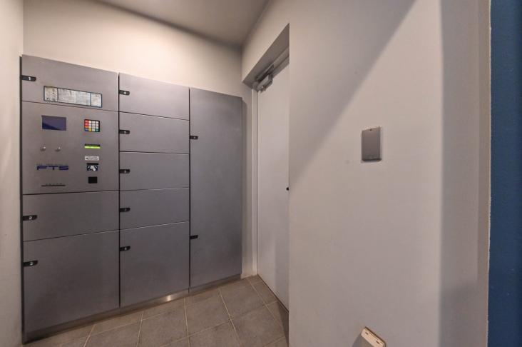 ディナ・スカーラ百合ヶ丘-15-共有部分