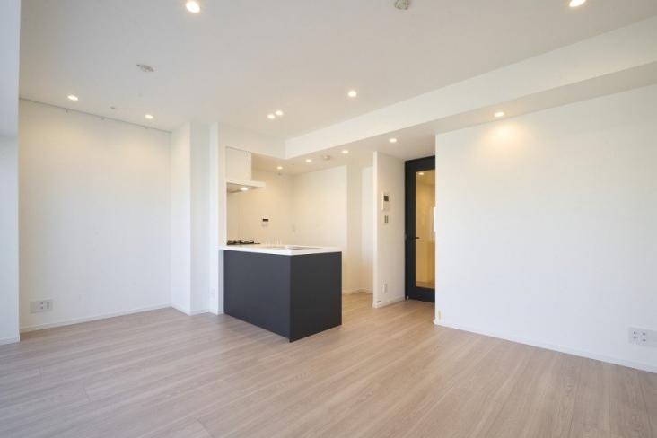 ナイスアーバンスクエア新川崎エアリーコート-3-リビング