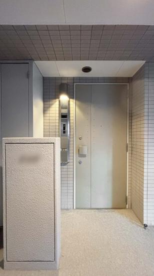 パークハウス武蔵新城ソレイユテラス-18-玄関